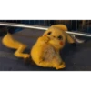 Detective Pikachu 14