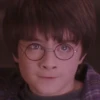 Harry Potter 15