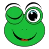 Frog 9