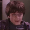 Harry Potter 17