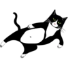 LENTOV cats 13