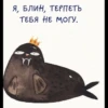 Cute Hate 9