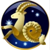 Horóscopo 11