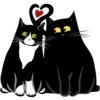 LENTOV cats 15