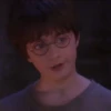 Harry Potter 20
