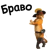 мKot_v_sapogah 11