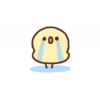 Little Chick 20