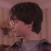 Harry Potter 21