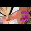 STUPID SEXY KAKAROT