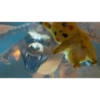 Detective Pikachu 26