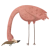 M wi