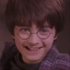 Harry Potter 24