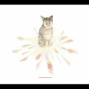 watercatior