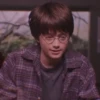 Harry Potter 29