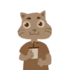 CATS 19