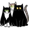 LENTOV cats 21
