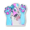 Melly Dog 8