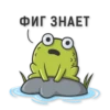 Mr Frog 5