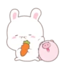 Happy Bunny ers 7