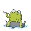 Mr Frog 6