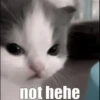 not hehe