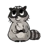 Raccoon 5