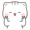 Cutie Cat - Chan 2 11