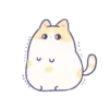 creamy kitty 8