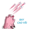 p
BAY
CAO VÃI