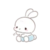 Bunny 17
