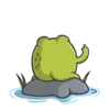 Mr Frog 8