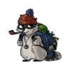 Raccoon 7