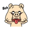 Crazy Funky Pig 10