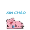XIN CHÀO