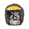 Raccoon 8