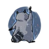 Raccoon 9