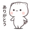 Cutie Cat - Chan 2 15