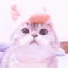 MEONG SOFT 9
