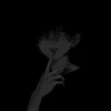 ANIME-BOYS 12