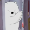 Ice Bear 17