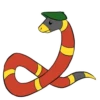 Little Dragon 11