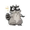 Raccoon 11