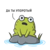 Mr Frog 10
