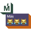 Más Madrid 14