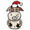 Moo 2021 9