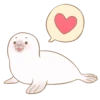 Little white seal 9