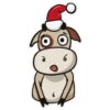 Moo 2021 10