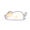 creamy kitty 16