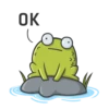 Mr Frog 12