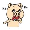 Crazy Funky Pig 15
